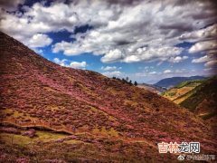 禄劝县属于哪个市,禄劝县属于哪个市