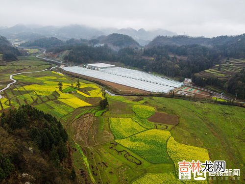 织金县有多少个乡镇,贵州省毕节市织金县有多少个乡镇，分别是什么？