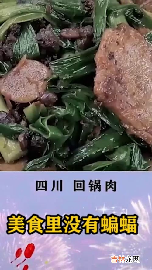 蝙蝠吃什么食物,蝙蝠吃什么食物为主