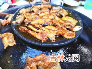 烤肉都能烤什么东西,烤肉都有什么食材能烤