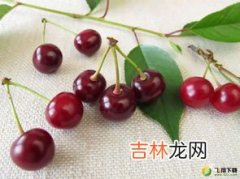 sjd车厘子什么意思,sjd的车厘子是什么级别的？