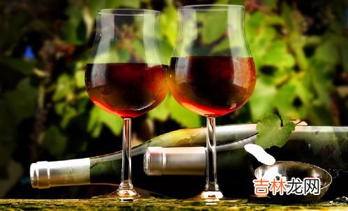 葡萄酒和红酒的区别,红酒与葡萄酒一样吗?有什么区别？