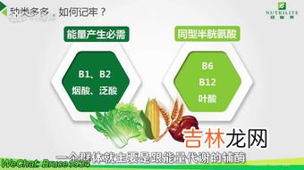 b族维生素片功效与作用,b族维生素片功效和作用是什么