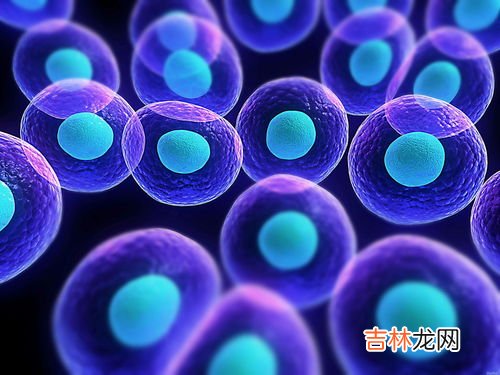 细胞营养素的功效和价格,德善药业 的 博可牌麦记片 的效果如何，长期服用有无副作用