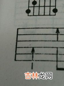二胡有几根弦,二胡有几根弦？
