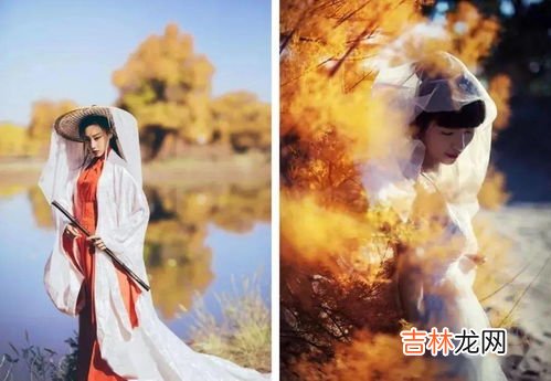 野骆驼在中国什么地方,野骆驼种群存在于中国的哪里
