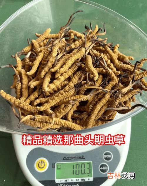 品质好的冬虫夏草多少钱一克,虫草多少钱一根？