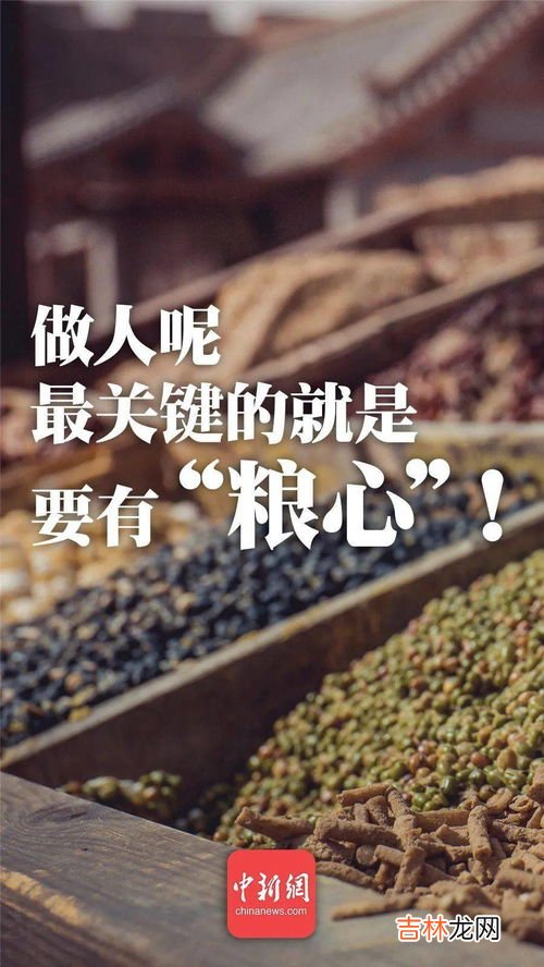 世界粮食日是几月几日,世界粮食日是哪一天