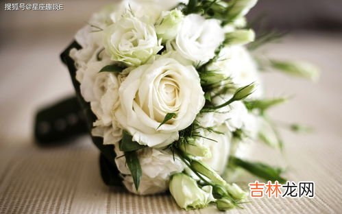 白玫瑰的花语,白玫瑰花语是什么
