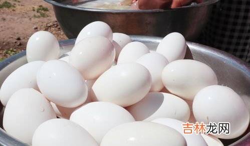 30个鹅蛋用多少盐腌制,鹅蛋怎么腌制用多少盐