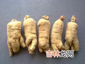 白参和西洋参的区别,白参和西洋参的区别