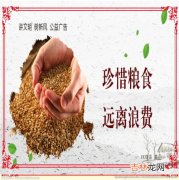 如何珍惜粮食,平时应该怎样珍惜粮食拒绝浪费？