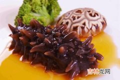 新都即食鲜海参品牌排行榜,即食海参品牌哪家好