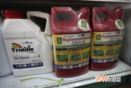 百草枯解药为什么造不出,为何一但喝下百草枯就会无药可医？