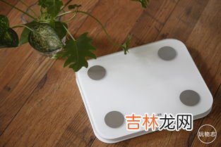 体重秤50多2格是多少斤,体重秤怎么看，怎么读数