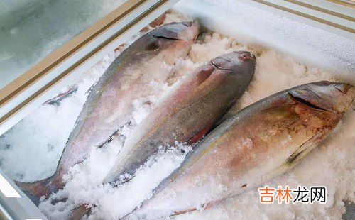炸过的鱼可以冷冻吗,油炸的鱼能放冷冻多久