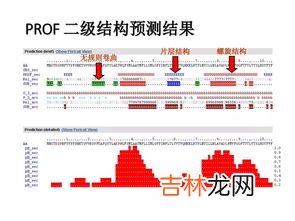 蛋白质的二级结构是什么,蛋白质的二级结构概念是什么？