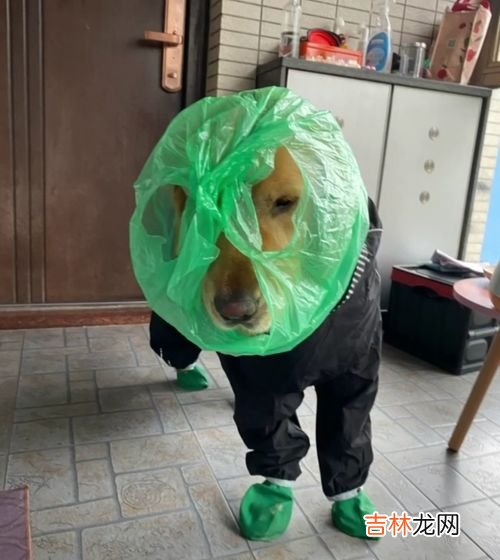 雨衣哪里可以买到,学生雨衣一般哪里有卖的