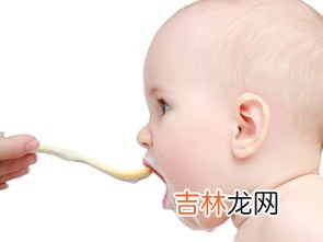 宝宝吃什么有营养,宝宝辅食吃什么才有营养