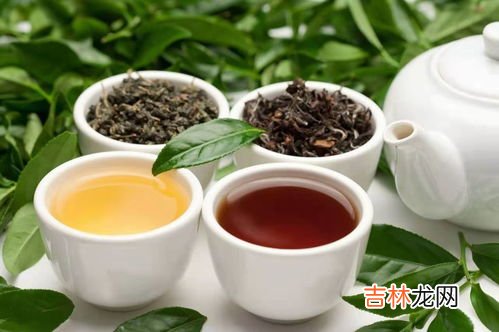 白毫茶是什么茶叶呀,大白毫属于什么茶类品种