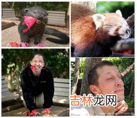 众说纷纷是什么动物,民间的议论是什么动物