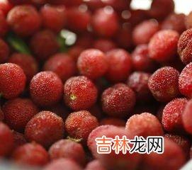 十斤酒泡多少杨梅和冰糖,泡杨梅酒，十斤酒放多少杨梅多少冰糖