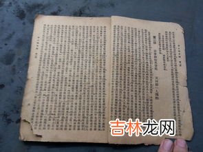 丁巳年是哪一年,丁巳年是哪一年 丁巳年是什么生肖属什么