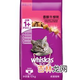 十大猫粮品牌排行榜,猫粮排行榜前十名