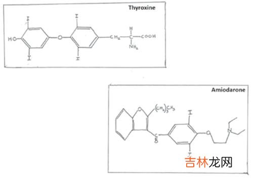 qk纤溶酶的功效与作用及用量,王业富纤溶酶多钱一盒QK纤溶酶的价钱？