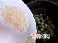 雪燕是什么东西,雪燕是什么东西