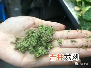 螺蛳壳是湿垃圾吗,螺蛳壳是湿垃圾吗