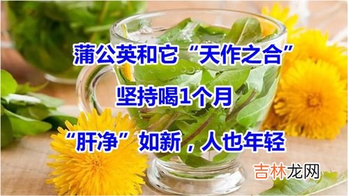 澳洲乐康膏的功效与作用,澳洲乐康膏能天天吃吗