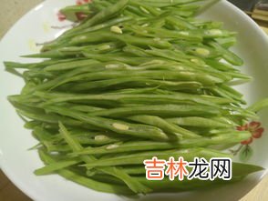 扁豆怎么判断熟没熟,白扁豆怎么煮才熟