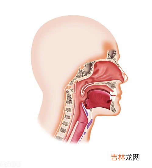 鼻炎的危害有哪些,鼻炎对小孩子有什么危害？