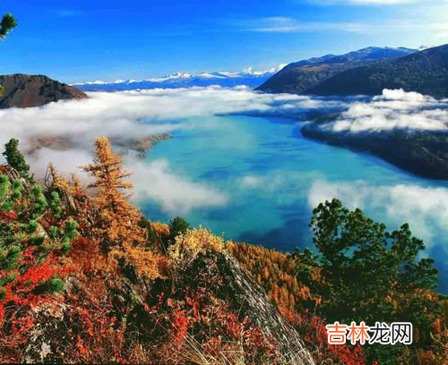 北屯到喀纳斯多少公里,北屯到喀纳斯自助游怎么走？