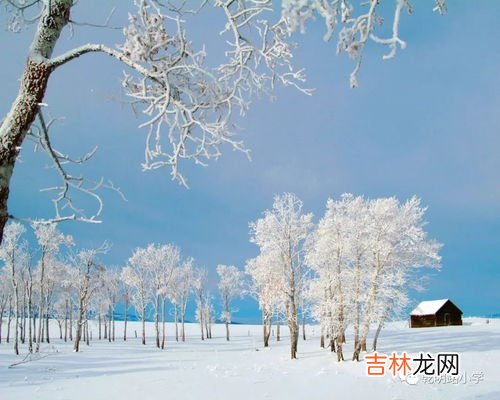 冬雪雪冬指的是哪四个节气,冬雪雪冬小大寒代表哪些节气