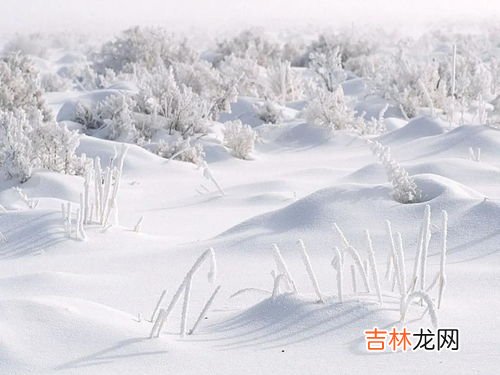 冬雪雪冬指的是哪四个节气,冬雪雪冬小大寒代表哪些节气