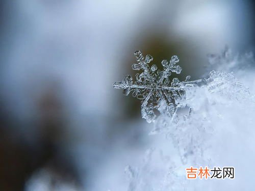 冬雪雪冬指的是哪四个节气,冬雪雪冬小大寒代表哪些节气