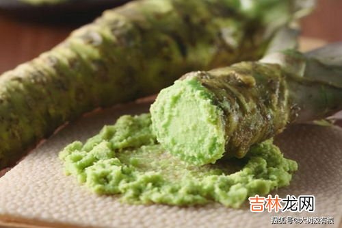芥末是用什么做的,芥末的原材料是什么?