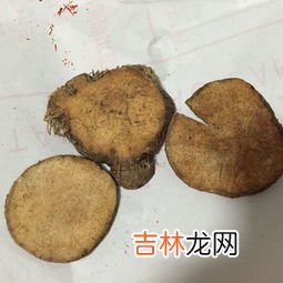 后继无人打一中药名字,中药的谜语