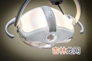 颚骨在哪里,下颌骨在哪里