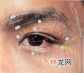 颚骨在哪里,下颌骨在哪里