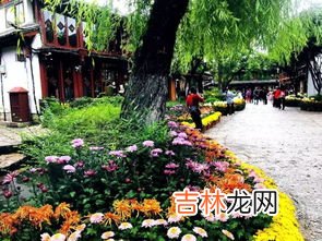 一年四季是春天打一城市名字,一年四季如春的城市