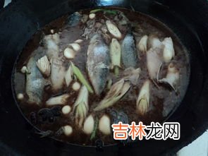鲅鱼做法大全家常,鲅鱼怎么做最好吃?
