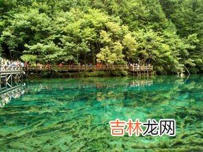 九寨沟高原反应强烈吗,大多数人去九寨沟，高原反应强烈吗九寨沟三门口月一识？