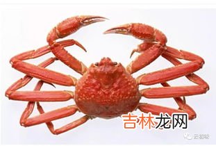 发财蟹是淡水还是海水,招财蟹是淡水饲养吗?