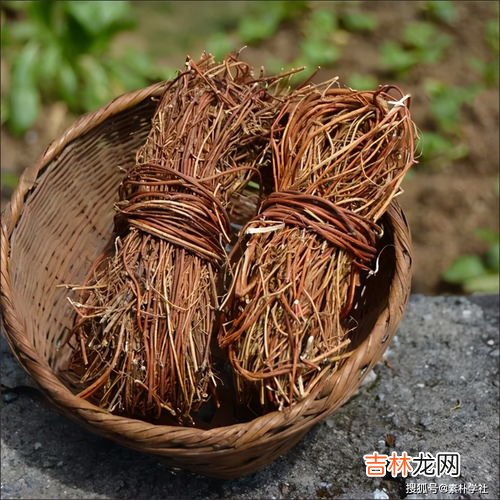 保温杯可以泡黄芪吗,不锈钢保温杯可以泡黄芪吗