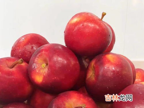 1998年哪种水果是百果之首芭芭农场,1988年,哪种水果是产量百果之首