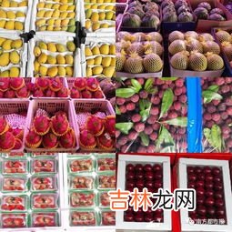 1998年哪种水果是百果之首芭芭农场,1988年,哪种水果是产量百果之首
