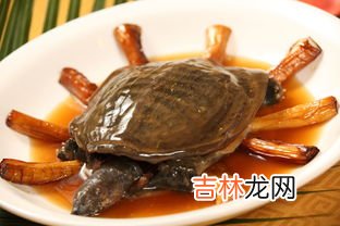 水鱼是甲鱼吗,甲鱼是否属于鱼类?